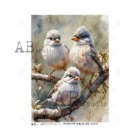 AB Studio Decoupage Ricepaper - A3