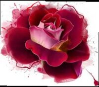 Posh Chalk Decoupage Paper - Radiant Rose A1